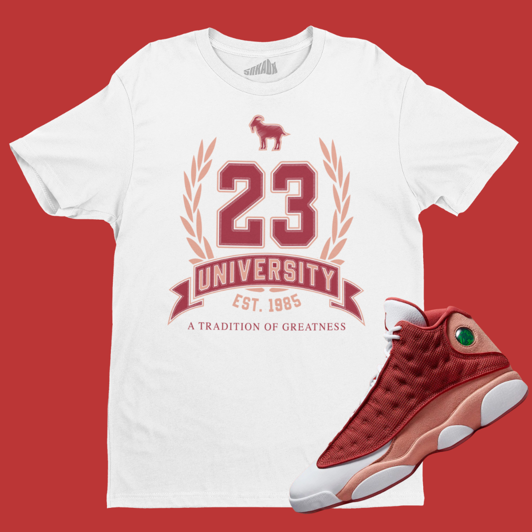 Air jordan 23 retro red shop