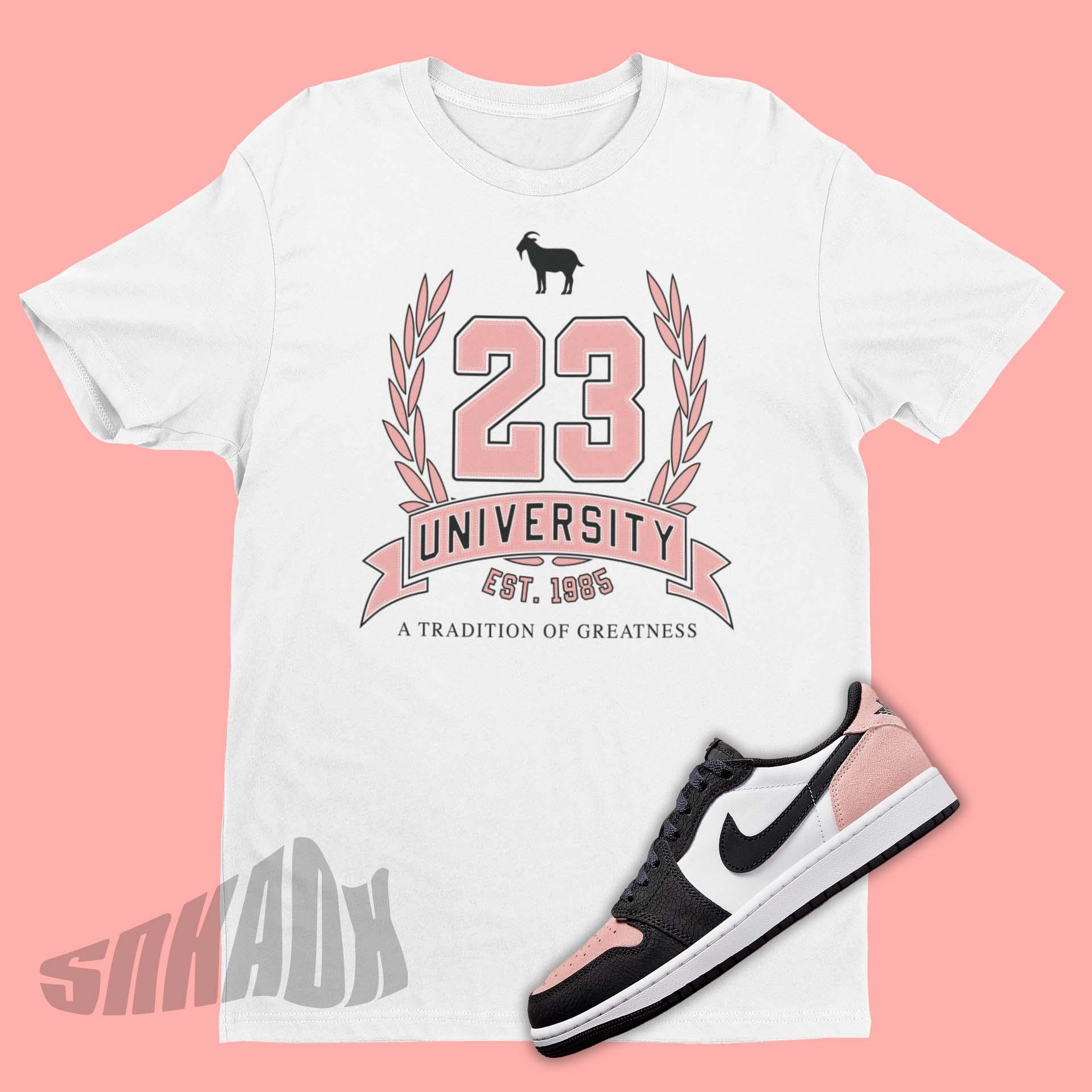 Air Concord jordan Bleached Coral GOAT Match Tee BrlShops