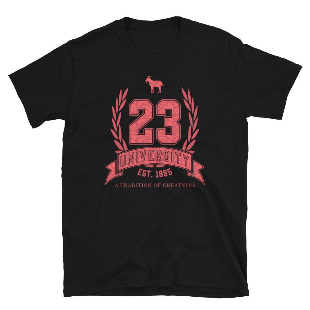 23 University Shirt to Match Air Jordan 9 Chile Red - SNKADX