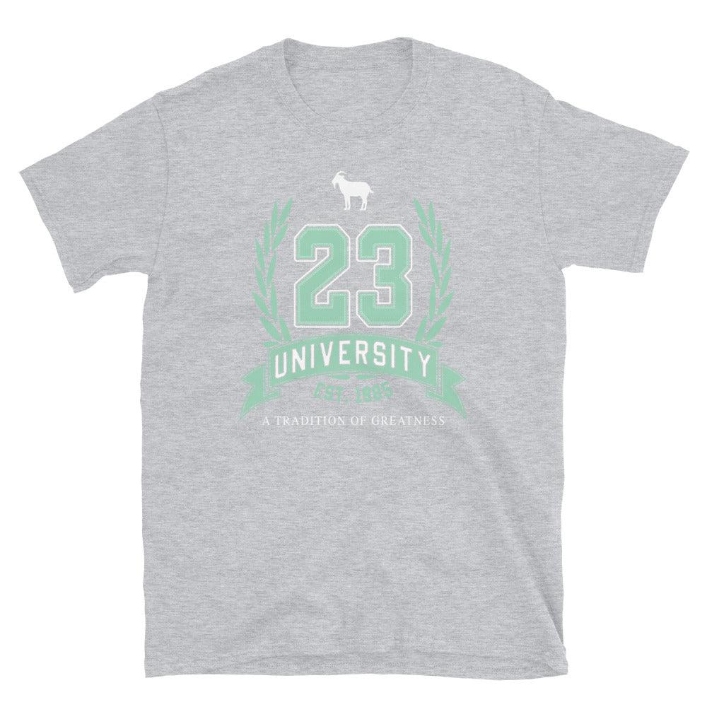 23 University Goat Emoji Shirt to Match Air Jordan 6 Mint Foam - SNKADX