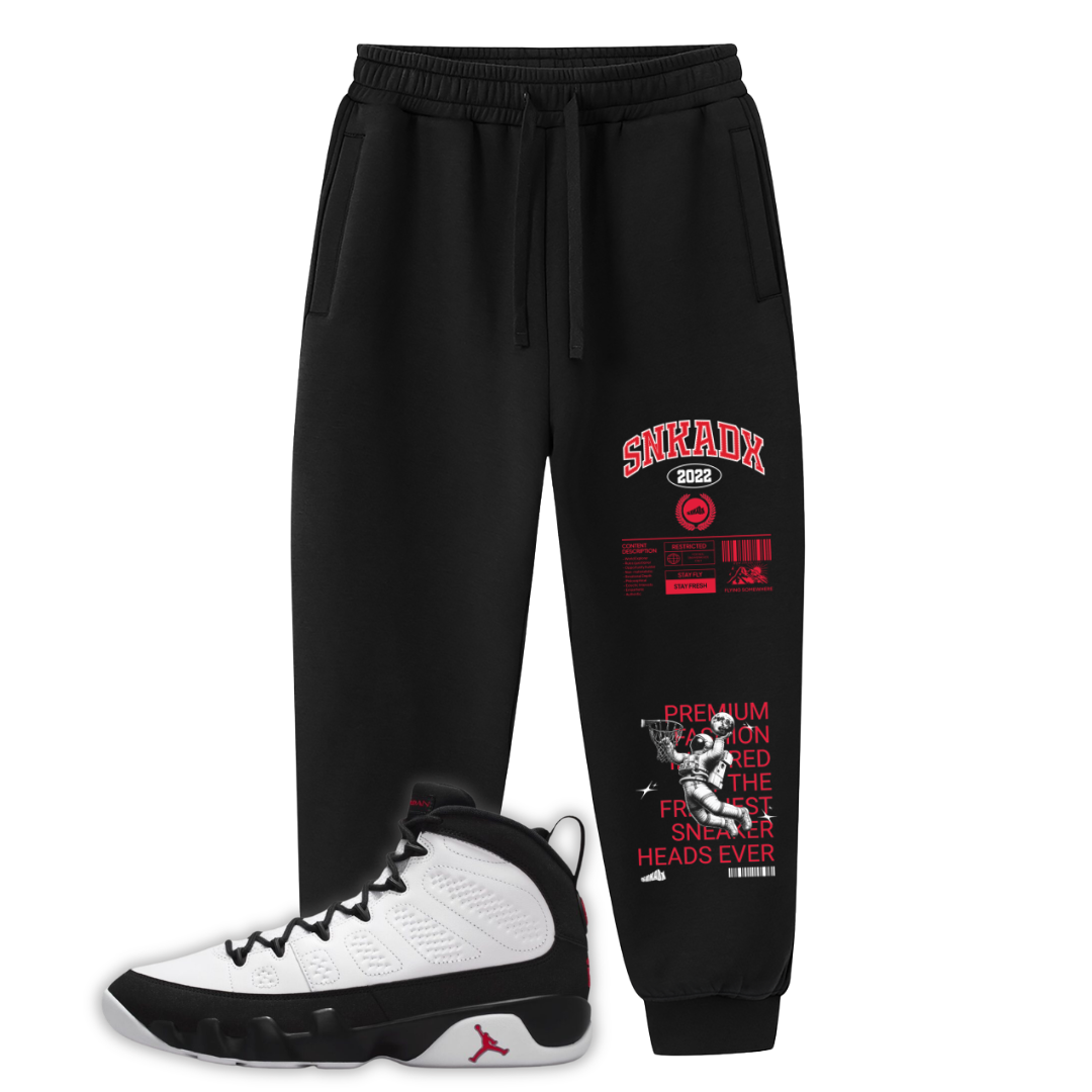 Fly Astronaut Joggers Matching Air Jordan 9 Space Jam