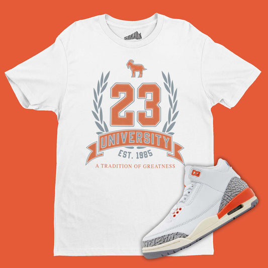 23 University T-Shirt Hydro Air Jordan 3 Georgia Peach