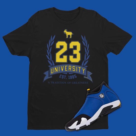 23 University Matching Air Jordan 14 Laney in black varsity royal and varsity maize