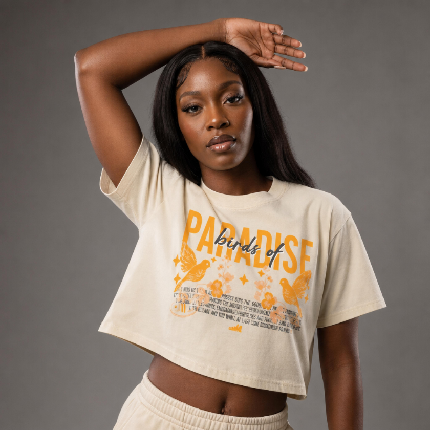 Paradise Mineral Wash Crop T-Shirt Matching Jordan 4 Birds of Paradise
