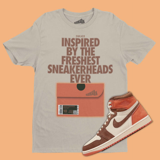 Shoe Box T-Shirt Matching Air Jordan 1 Dusted Clay