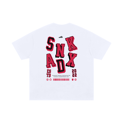 SNKADX Arch Oversized T-Shirt Matching Air Jordan 1 Chicago