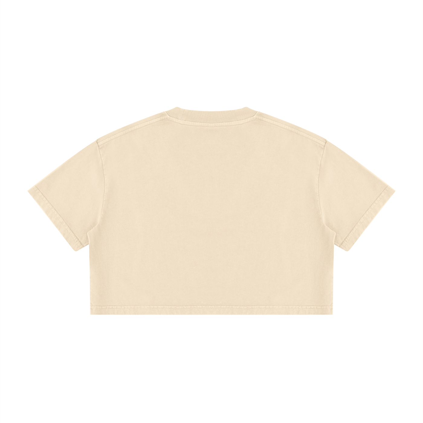 Paradise Mineral Wash Crop T-Shirt Matching Jordan 4 Birds of Paradise