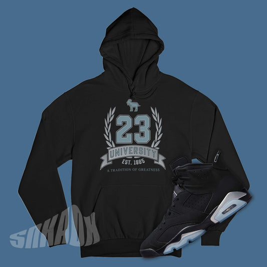 Hoodie To Match Air Jordan 6 Chrome