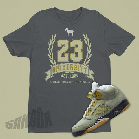 Shirt To Match Air Jordan 5 Jade Horizon