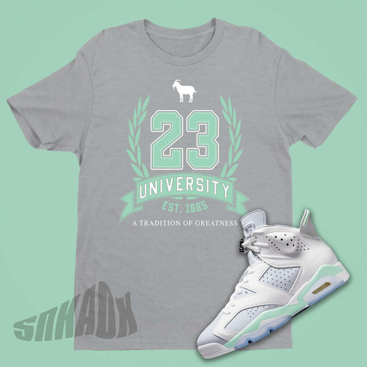 Air Jordan 6 Mint Foam Matching Shirt