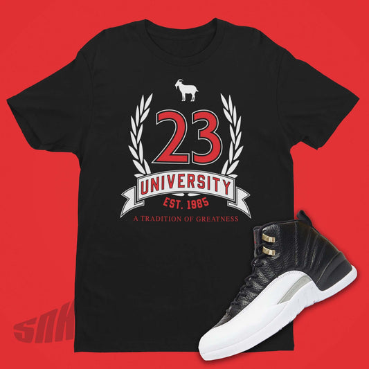 Shirt To Match Air Jordan 12 Playoff 2022