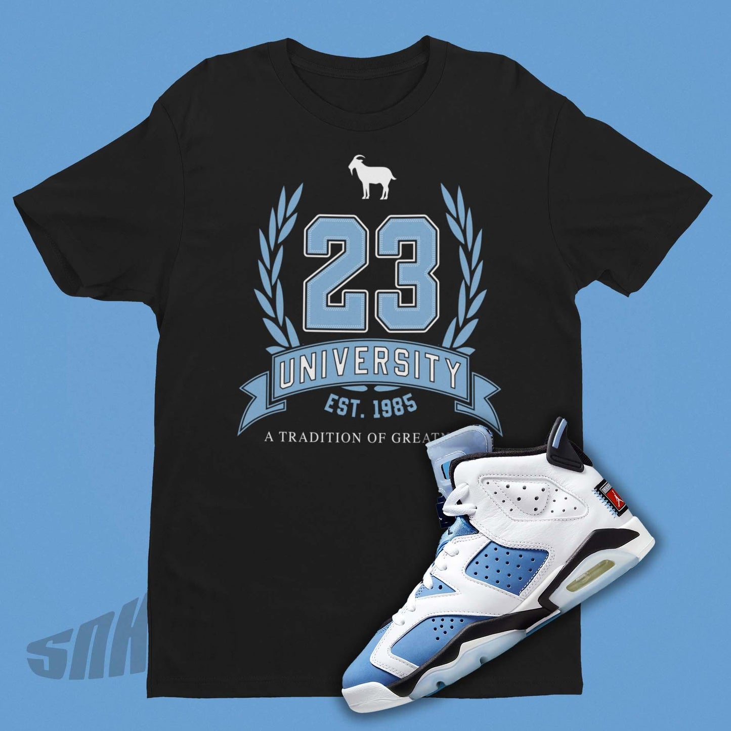 Air Jordan 6 UNC Matching Shirt