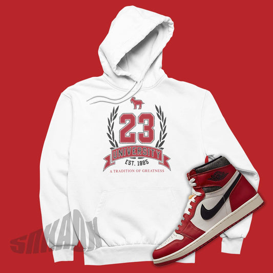 23 University Hoodie To Match Air Jordan 1s Chicago Lost & Found