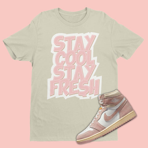 Stay Cool Stay Fresh Jordan 1 Washed Pink Matching Shirt