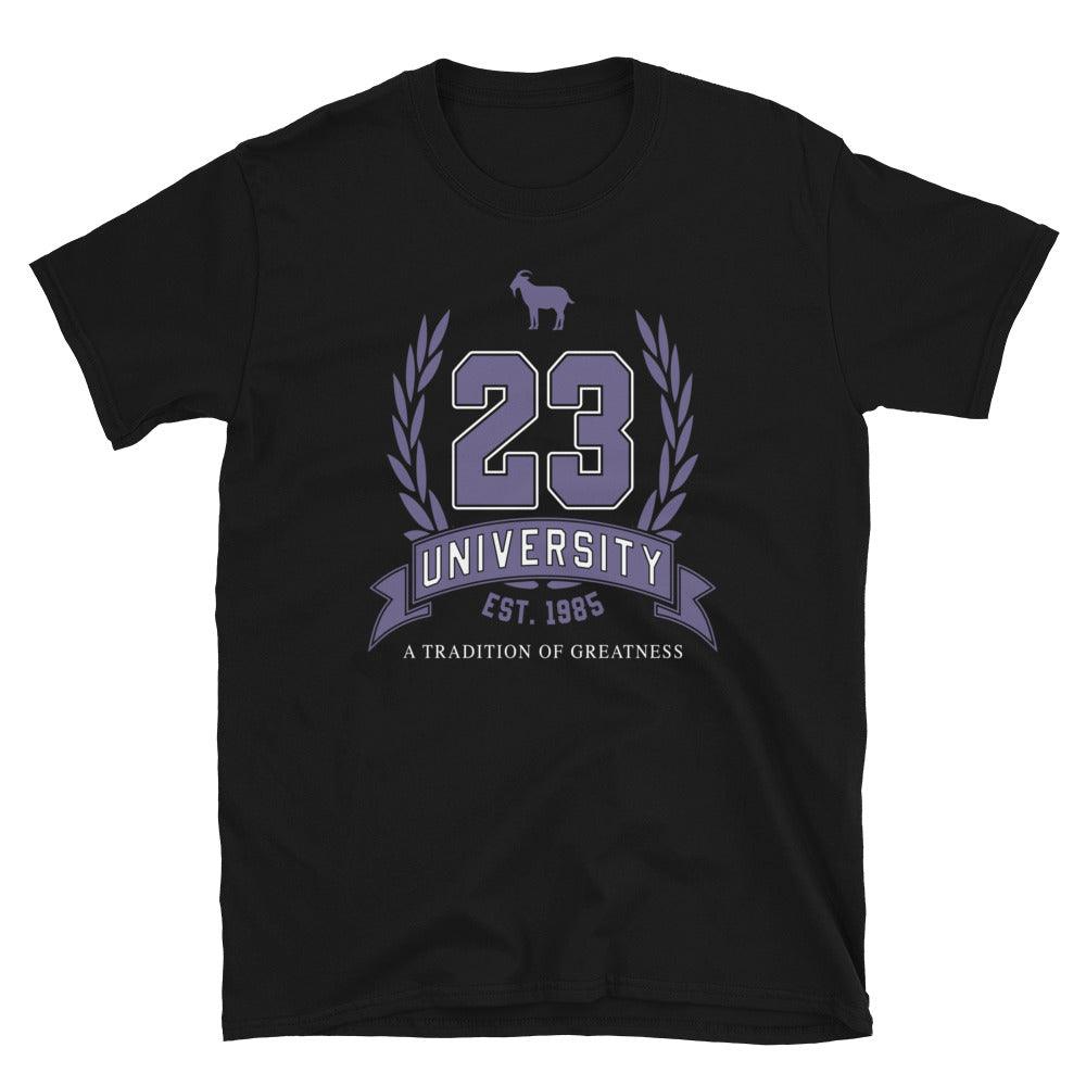 23 University Shirt To Match Jordan 13 Court Purple - SNKADX
