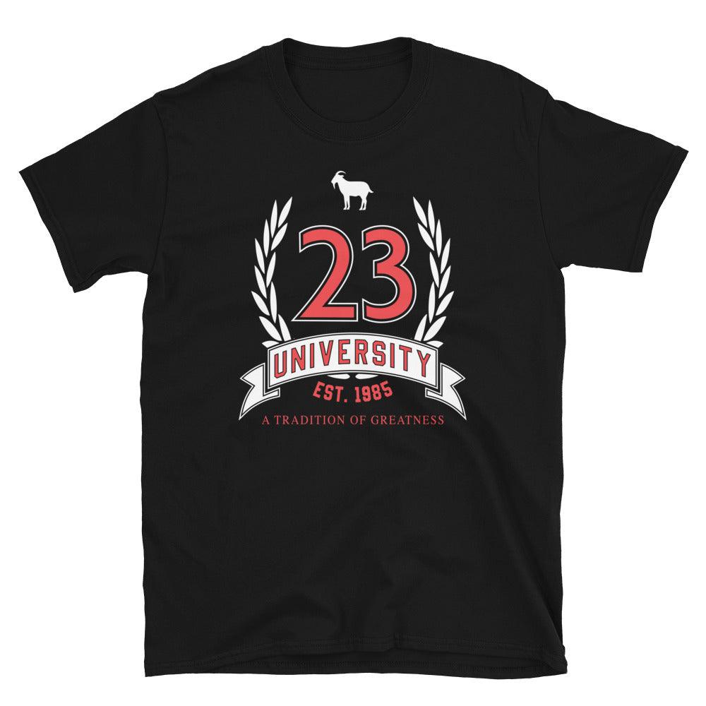 23 University Shirt to Match Air Jordan 12 Playoff 2022 - SNKADX