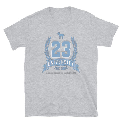 23 University Shirt To Match Air Jordan 11 Cool Grey - SNKADX