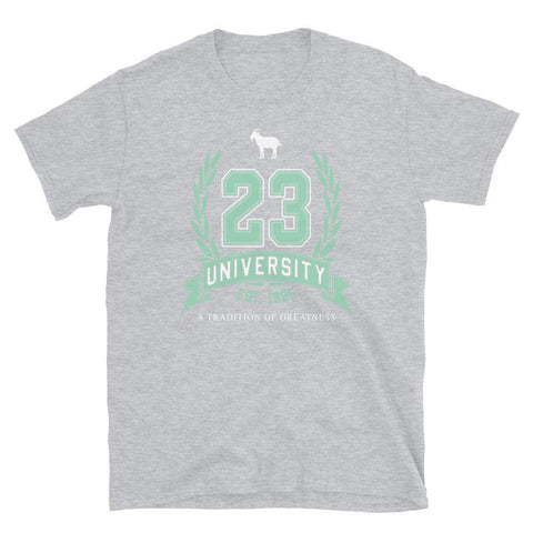 23 University Goat Emoji Shirt to Match Air Jordan 6 Mint Foam - SNKADX