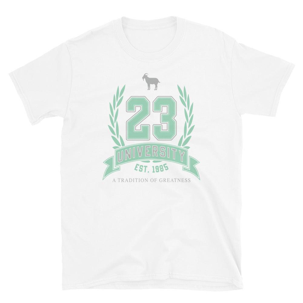 23 University Goat Emoji Shirt to Match Air Jordan 6 Mint Foam - SNKADX