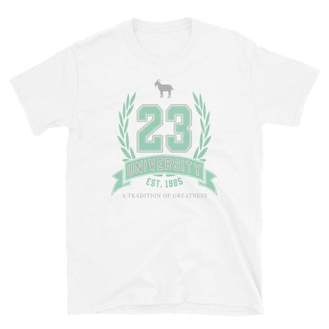 23 University Goat Emoji Shirt to Match Air Jordan 6 Mint Foam - SNKADX