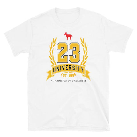 23 University Shirt to Match Air Jordan 13 Del Sol - SNKADX