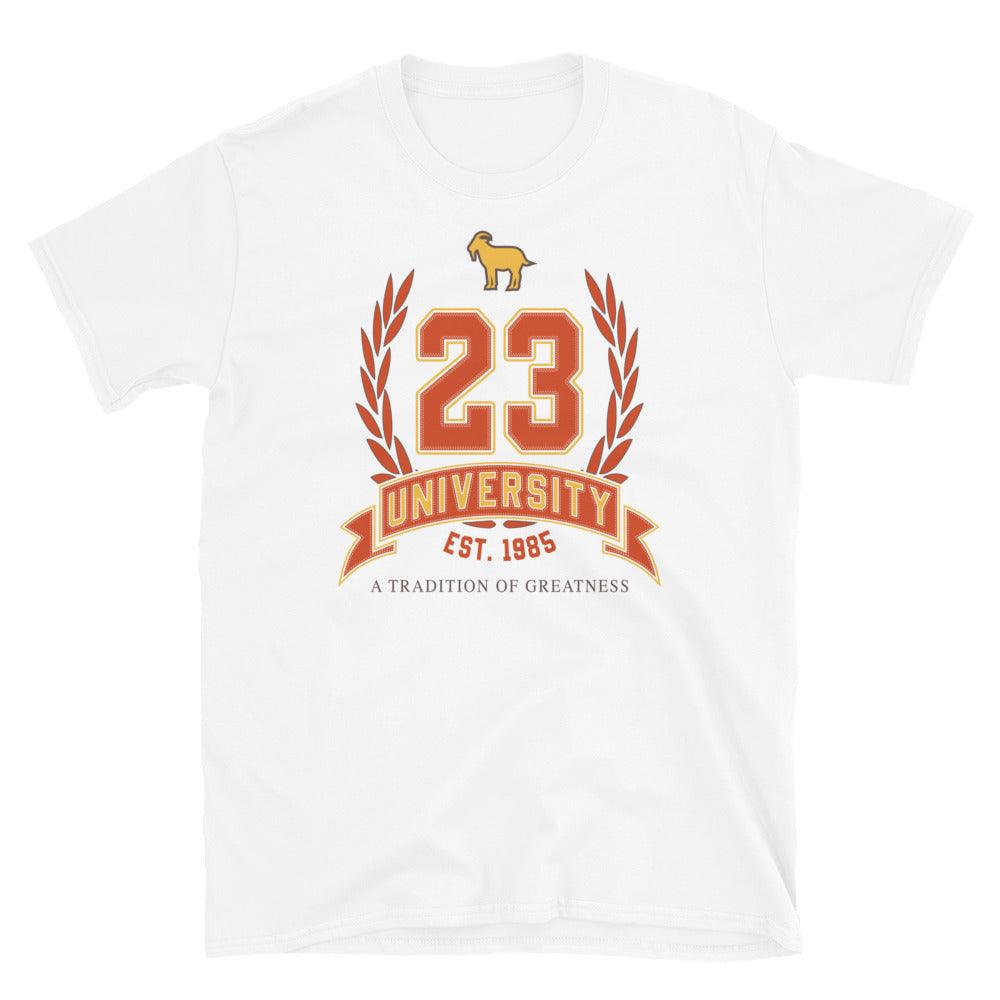 23 University Shirt To Match Maison Chateau Rouge Air Jordan 2 - SNKADX