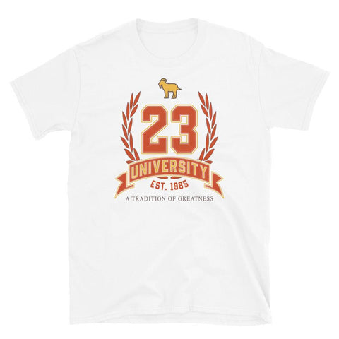 23 University Shirt To Match Maison Chateau Rouge Air Jordan 2 - SNKADX