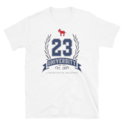 23 University Shirt To Match Air Jordan 13 French Blue