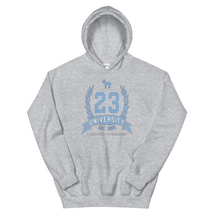 23 University Hoodie To Match Cool Grey Retro 11 - SNKADX