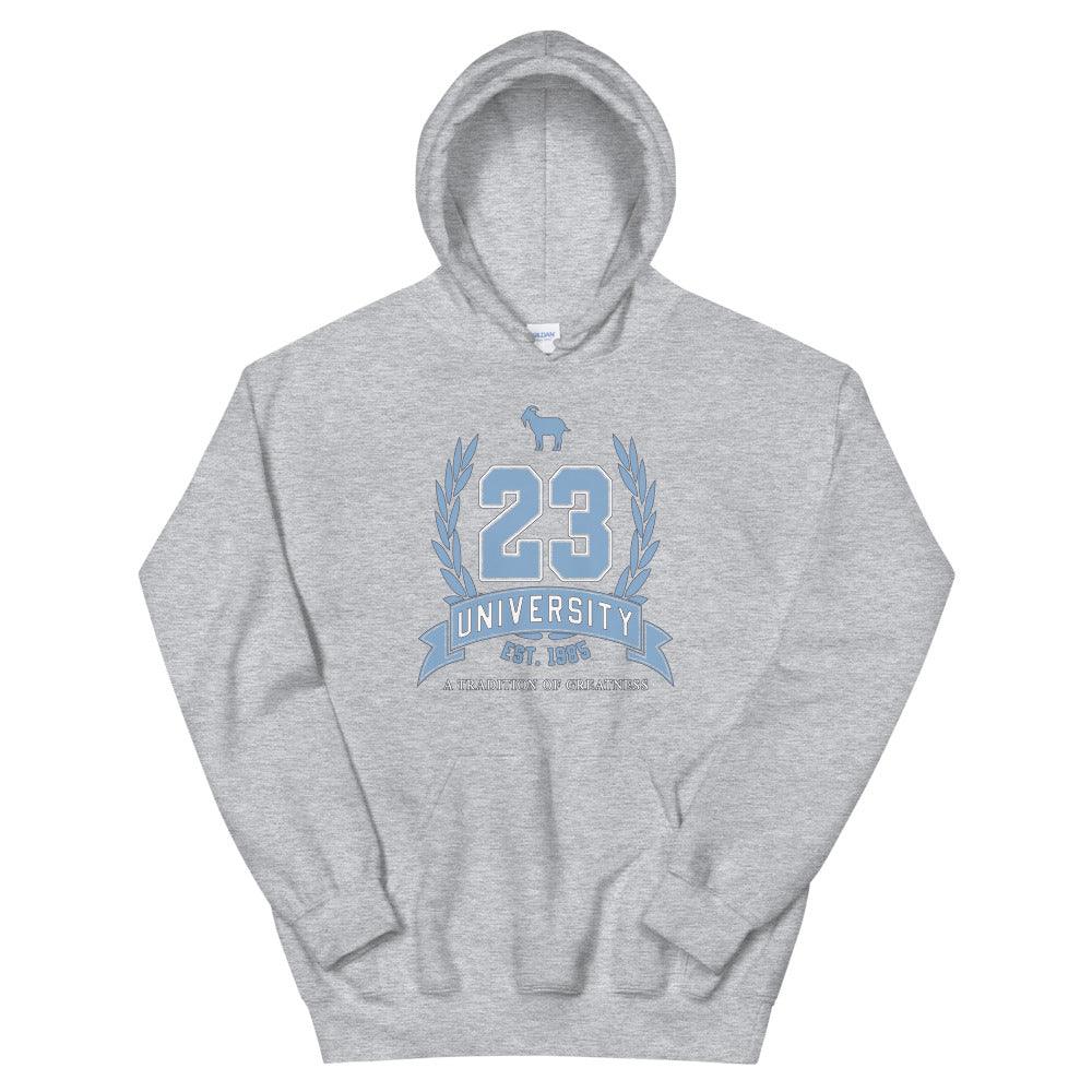 23 University Hoodie To Match Cool Grey Retro 11 - SNKADX