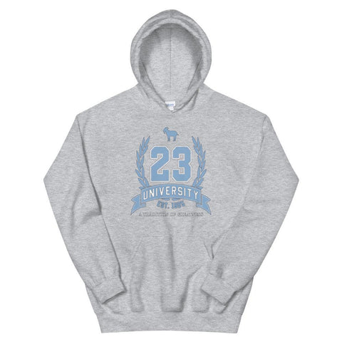 23 University Hoodie To Match Cool Grey Retro 11 - SNKADX